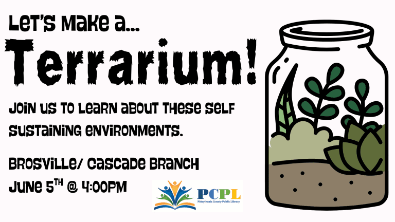 Terrarium